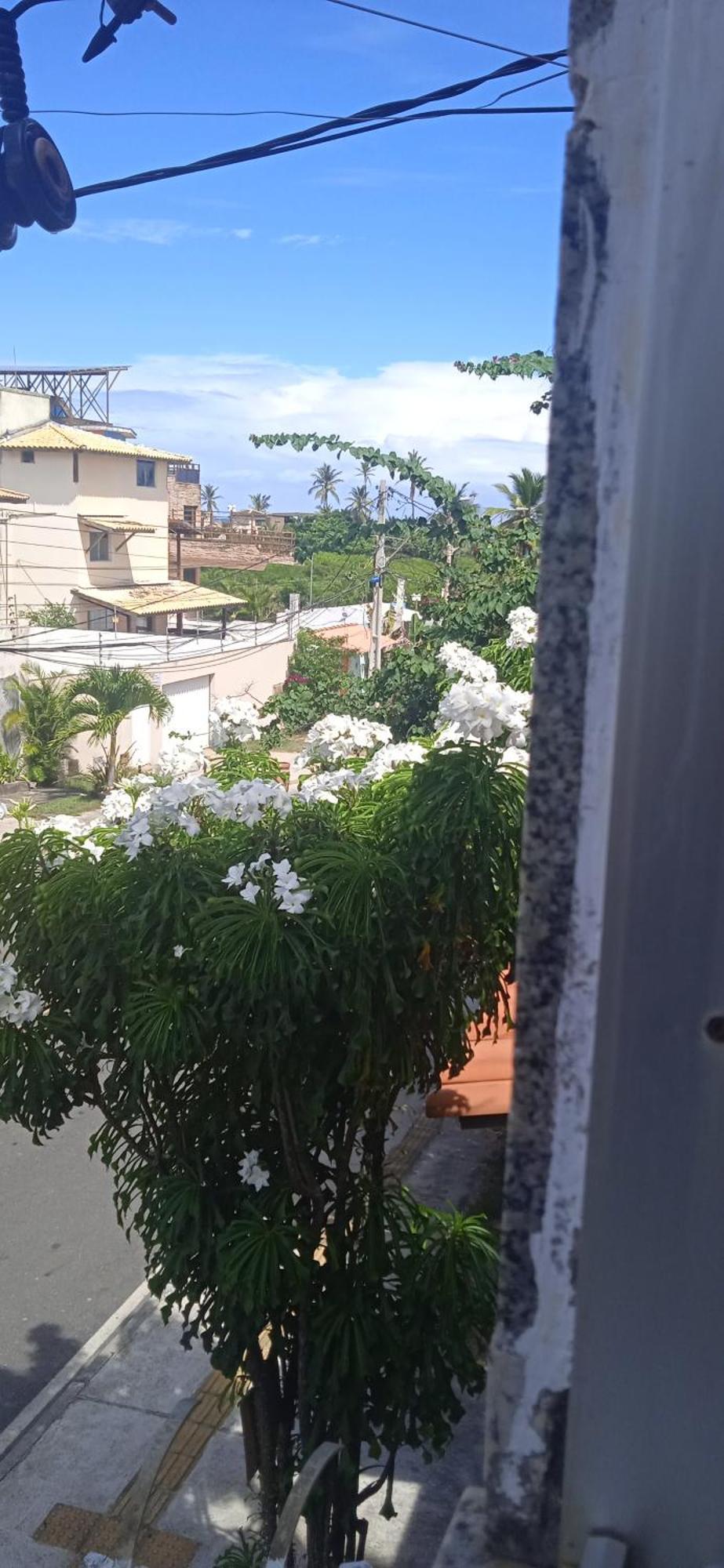 Kit Net Carlotta Apartamentos Salvador de Bahía Exterior foto